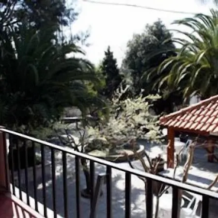 Joao Capela