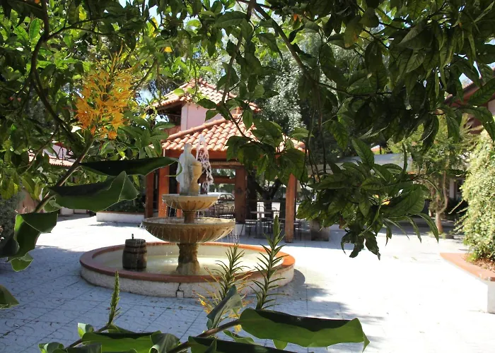 Hotel Joao Capela 3* Авейру